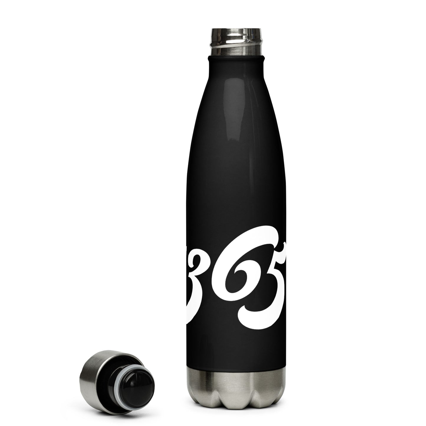 Level 365 Stainless Steel Water Bottle